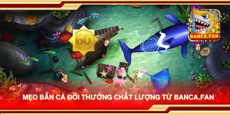 Mẹo bắn cá đổi thưởng chất lượng từ iranfeed.news