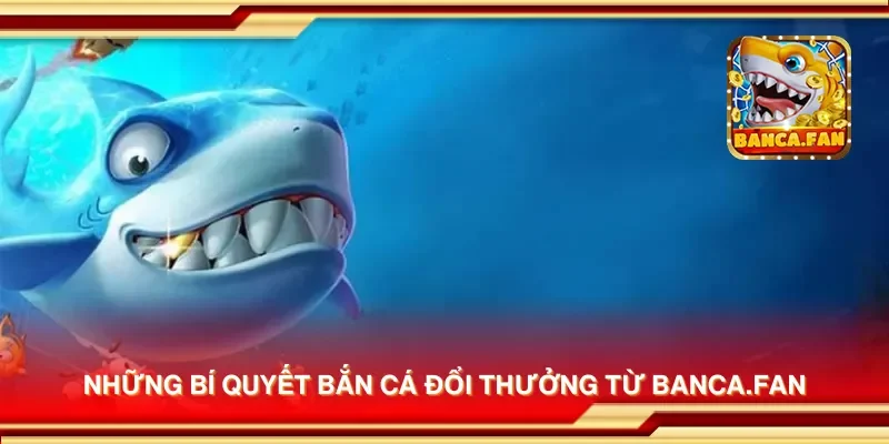 Những bí quyết bắn cá đổi thưởng từ iranfeed.news