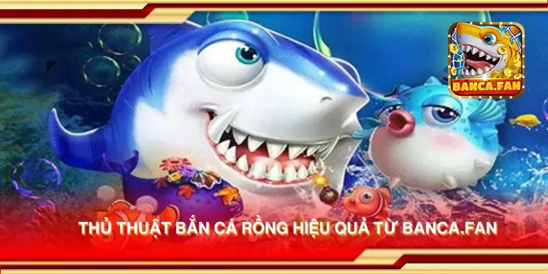 Thủ thuật bắn cá rồng hiệu quả từ iranfeed.news