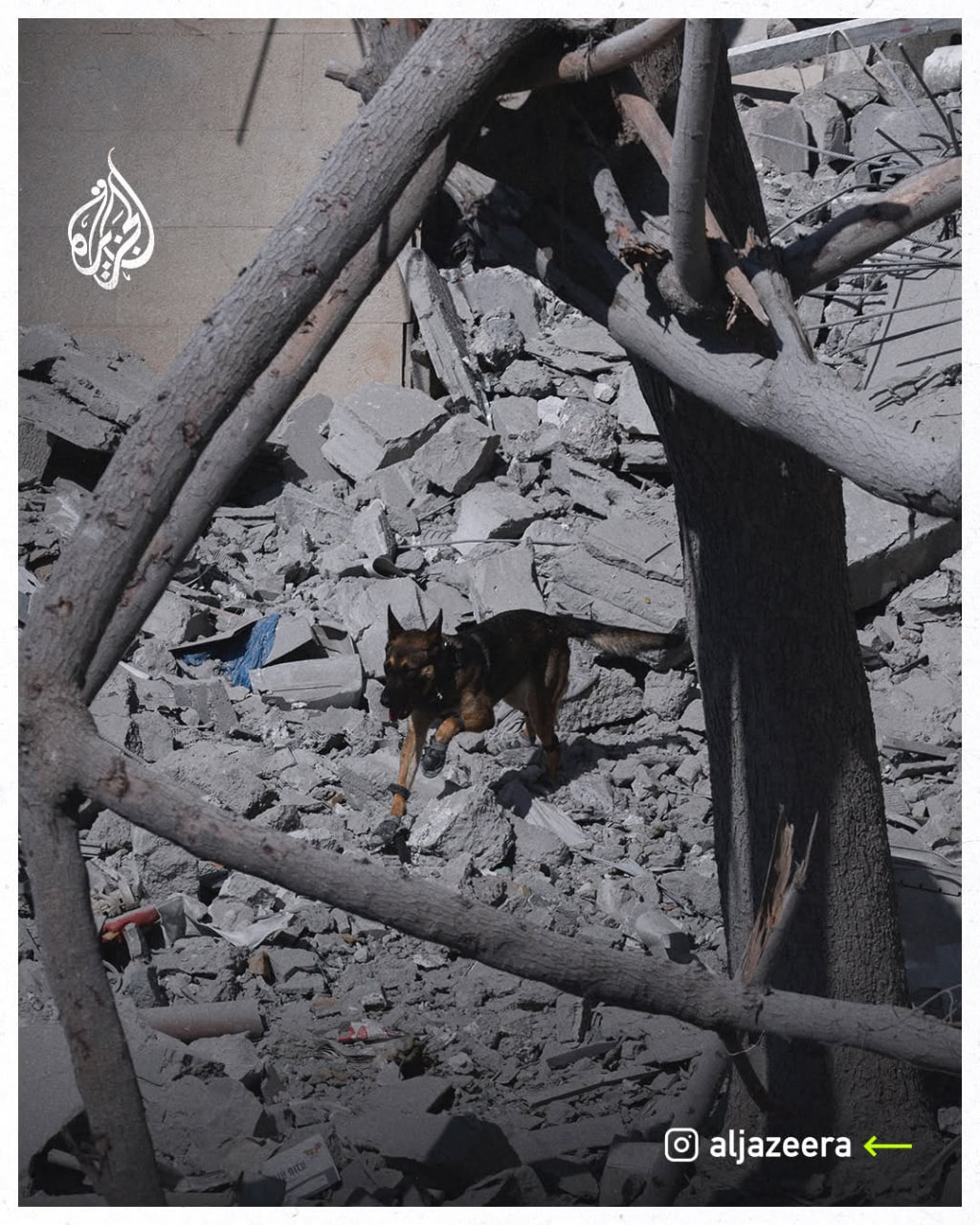 صهیونیستها همچنان در محل اصابت موشکهای ایران در بئرالسبع به دنبال مفقودان میگردند 6 Image